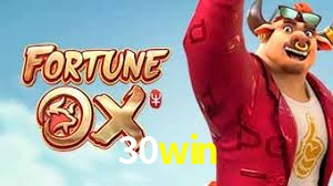 Premium Interface 30win